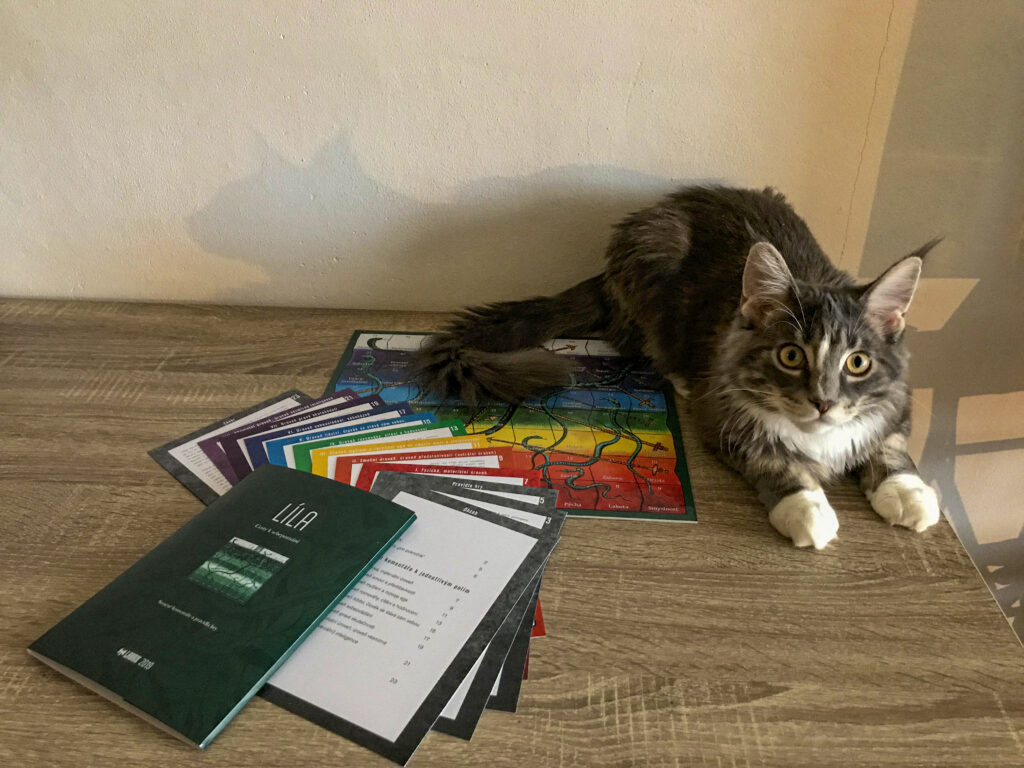 Šiva the cat beside the game of Líla